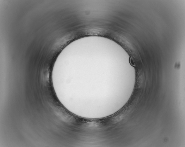 X0000091520310200709141420