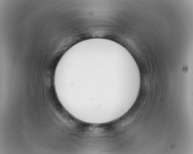 X0000091520311200709141420