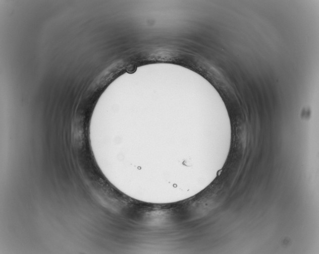 X0000091520312200709141420