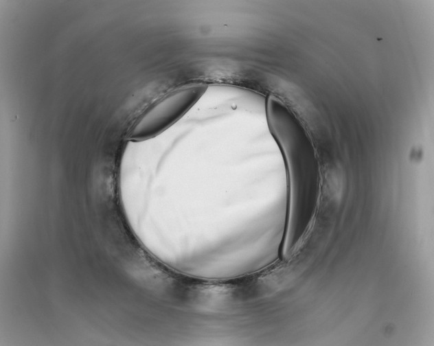 X0000091520313200709141420