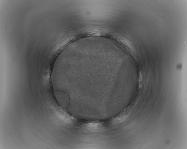 X0000091520314200709141420