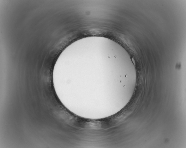 X0000091520317200709141420