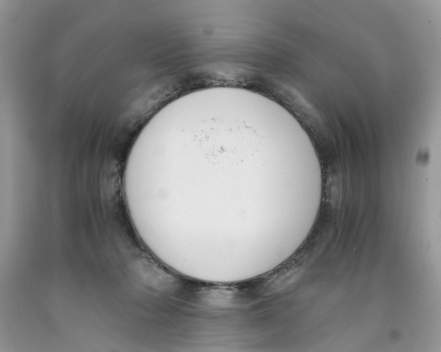 X0000091520318200709141420