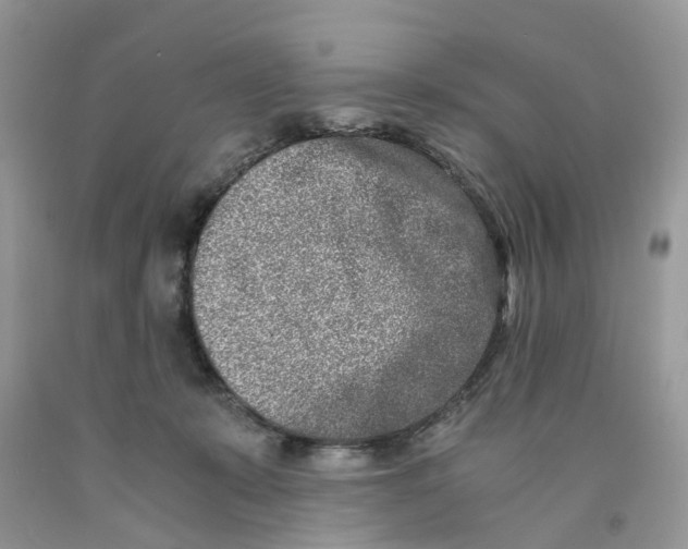 X0000091520319200709141420