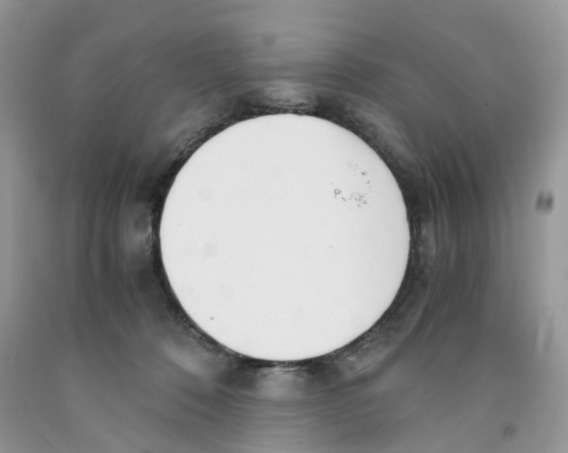 X0000091520320200709141420