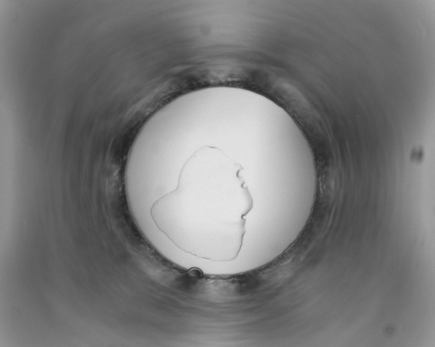 X0000091520327200709141420