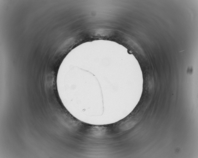 X0000091520328200709141420