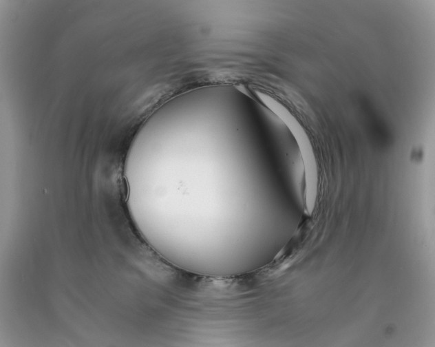 X0000091520329200709141420