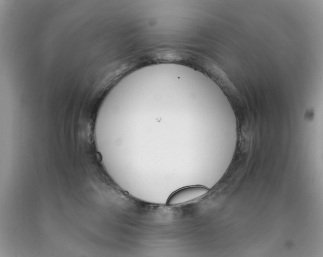 X0000091520330200709141420