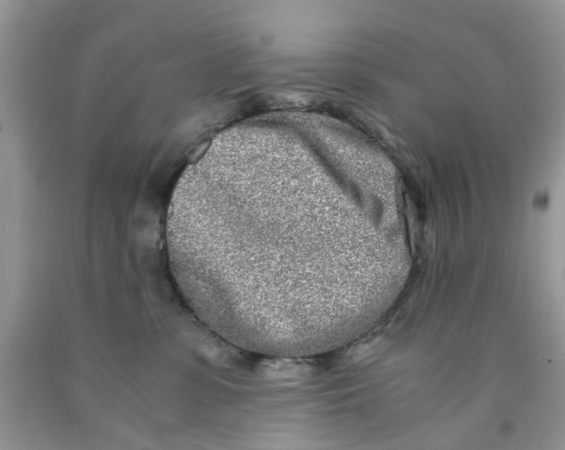 X0000091520331200709141420