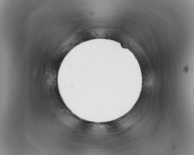 X0000091520332200709141420