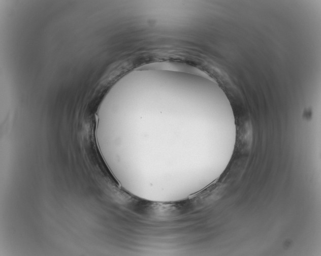 X0000091520333200709141420