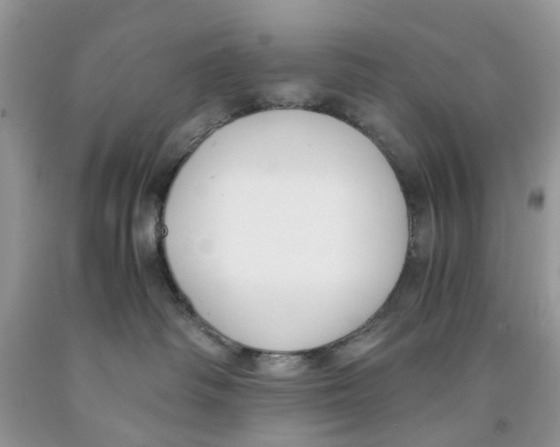 X0000091520334200709141420