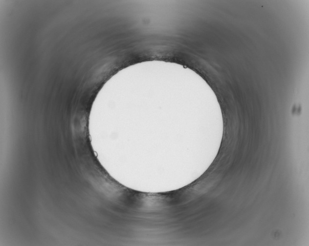 X0000091520336200709141420