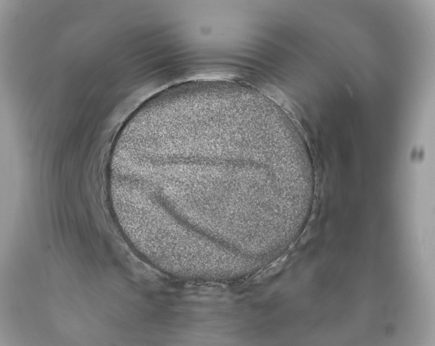 X0000091520337200709141419