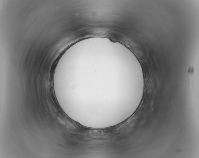 X0000091520338200709141419