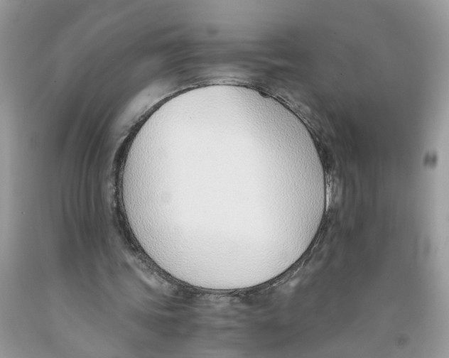 X0000091520339200709141419