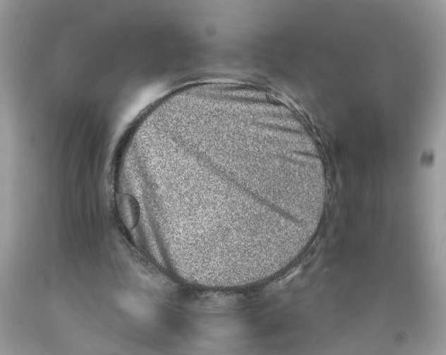 X0000091520343200709141419