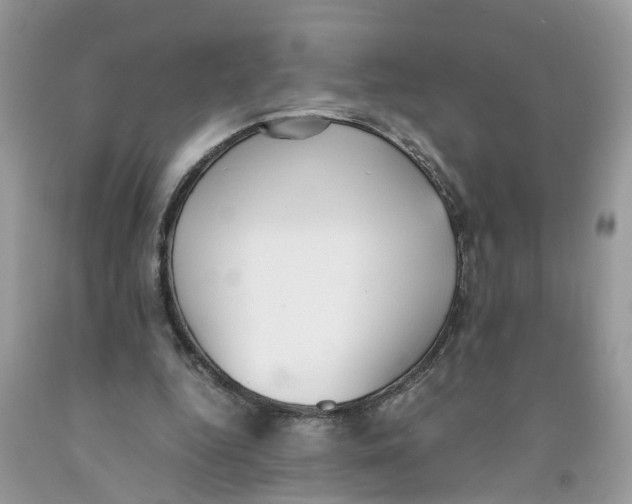 X0000091520344200709141419