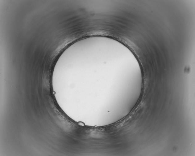 X0000091520345200709141419