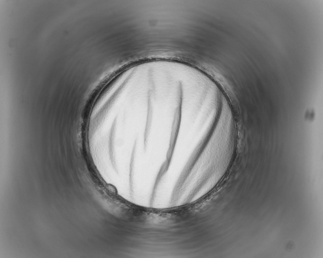 X0000091520346200709141419