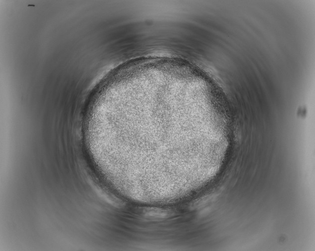 X0000091520347200709141419