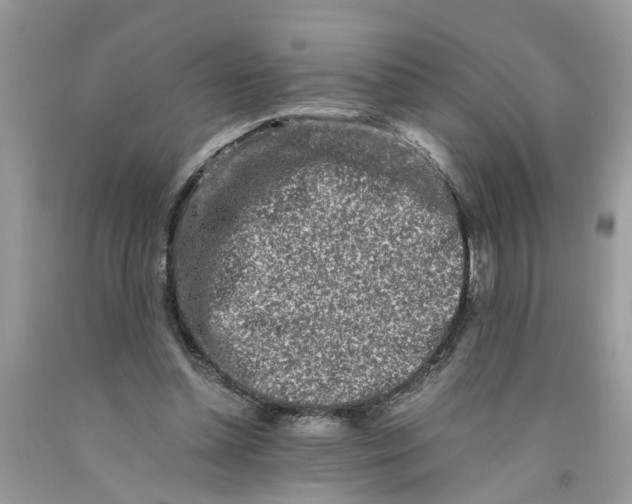 X0000091520348200709141419