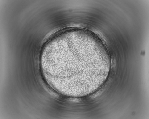 X0000091520349200709141419