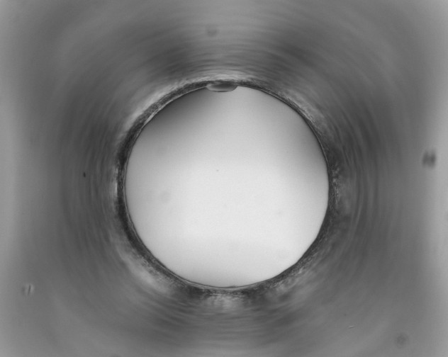 X0000091520350200709141419