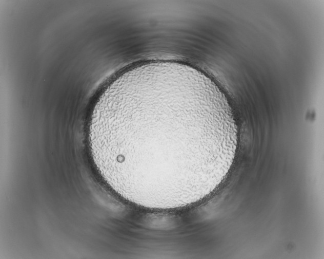 X0000091520351200709141419