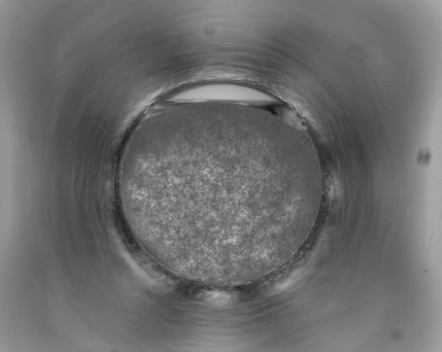 X0000091520352200709141419