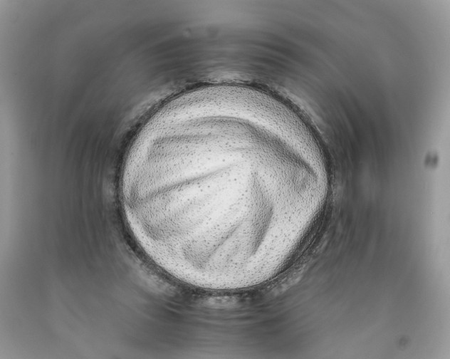 X0000091520353200709141419