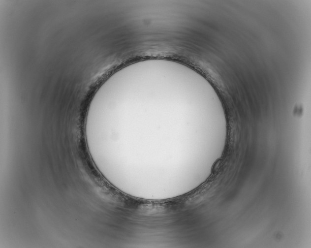 X0000091520354200709141419