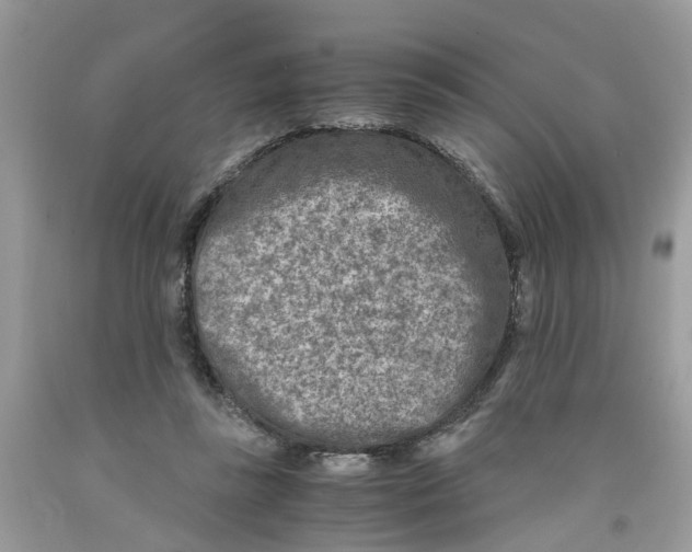 X0000091520355200709141419