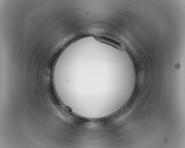 X0000091520356200709141419