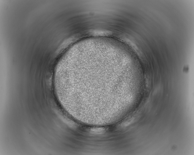 X0000091520357200709141419