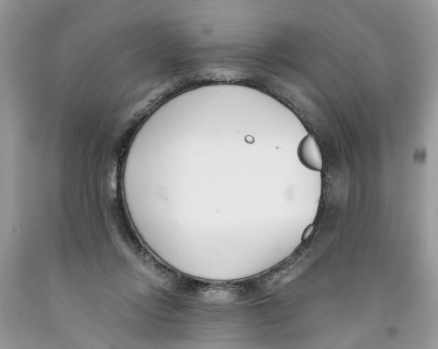 X0000091520358200709141419