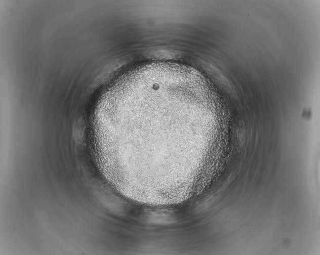 X0000091520359200709141419