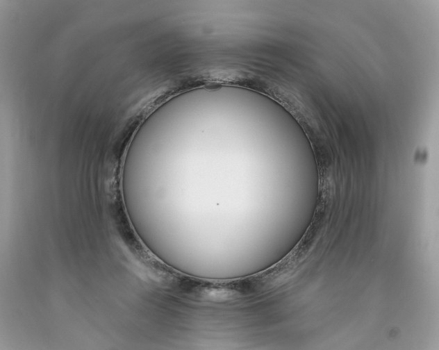 X0000091520360200709141419