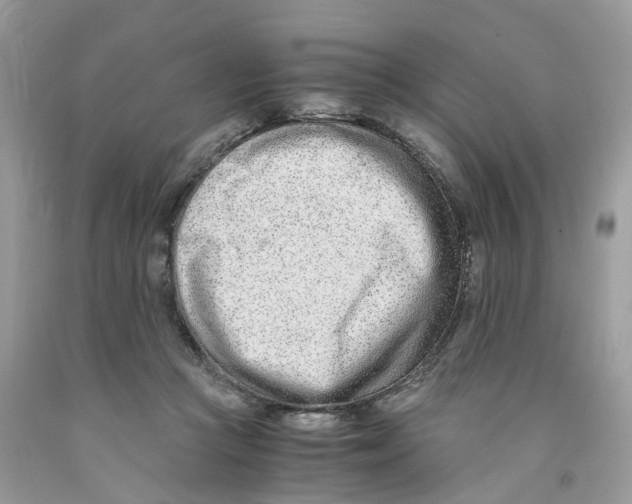 X0000091520361200709141419