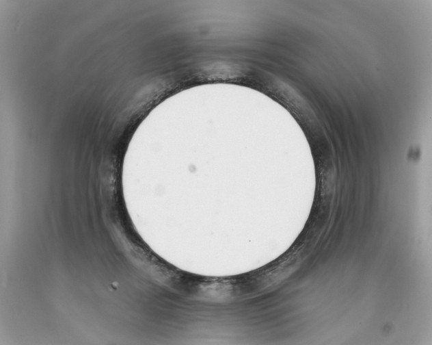 X0000091520362200709141419