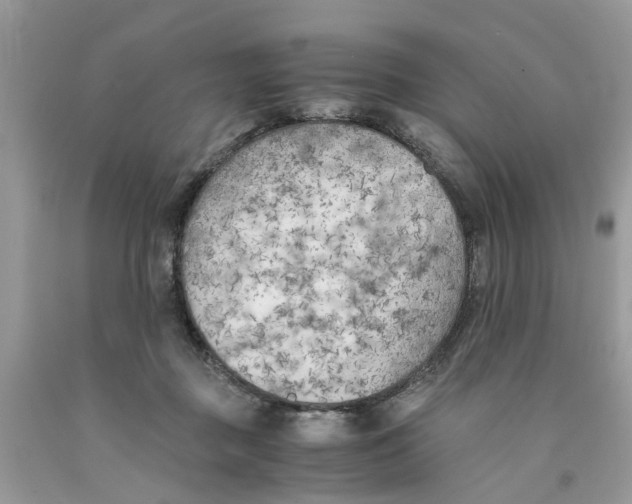 X0000091520363200709141419