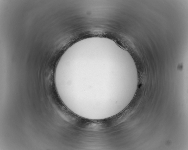 X0000091520364200709141419