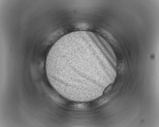 X0000091520365200709141419