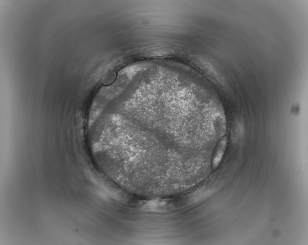 X0000091520366200709141419