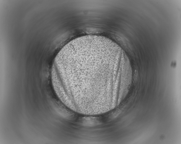 X0000091520367200709141419