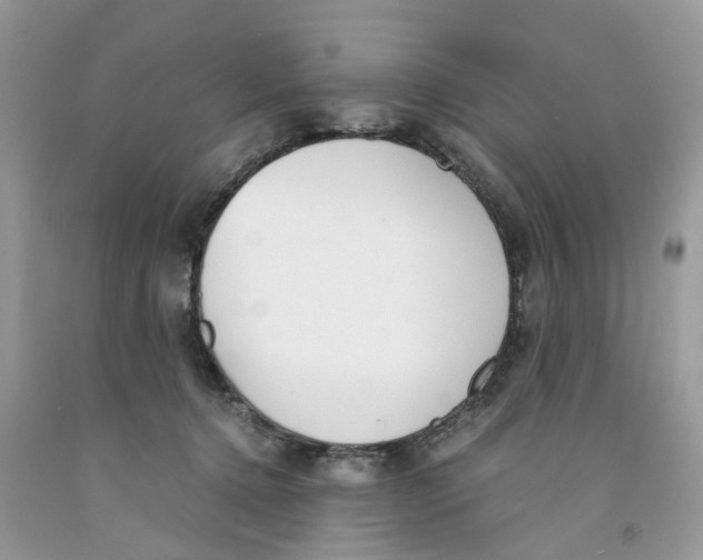 X0000091520368200709141419