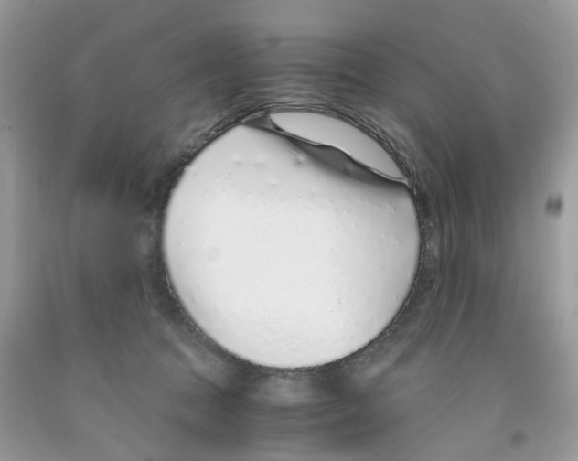 X0000091520369200709141419