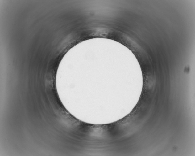 X0000091520370200709141419