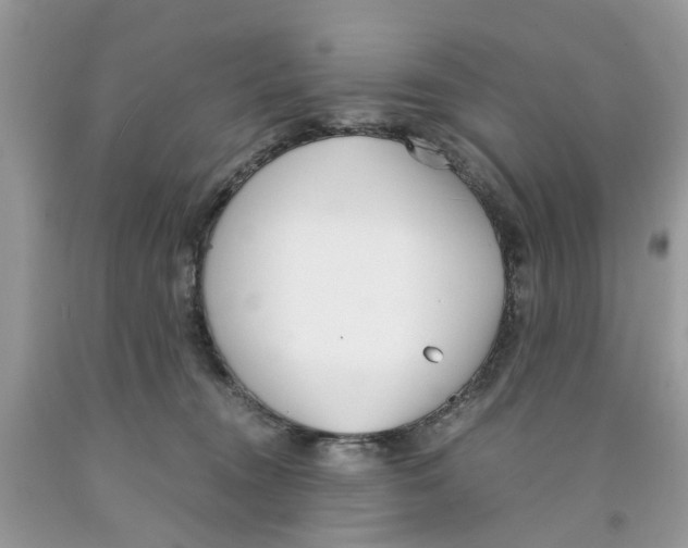 X0000091520372200709141419